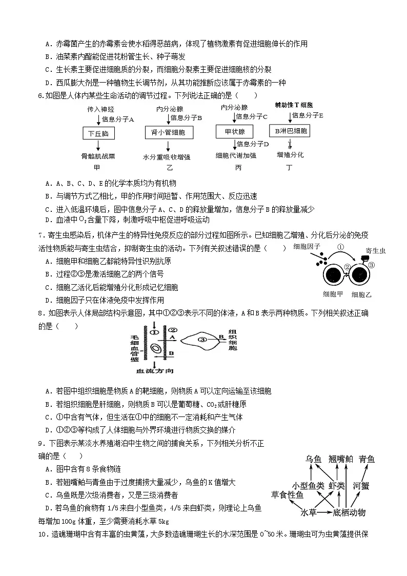 海南省华侨中学2024-2025学年高二下学期第一次考试生物试题第2页
