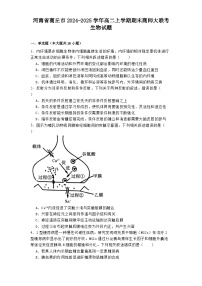 河南省商丘市2024-2025学年高二上学期期末商师大联考生物试题