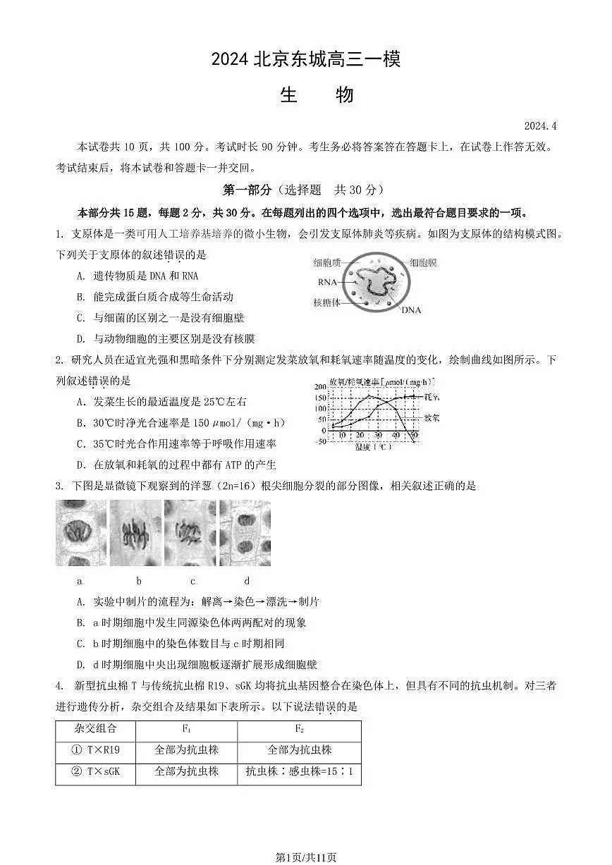 2024届北京市东城区高三一模-生物试卷(含答案)第1页