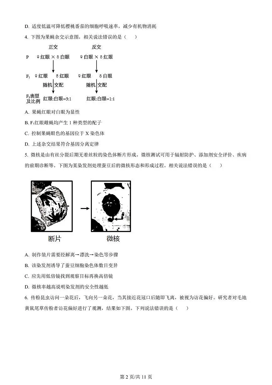 2024届北京市房山区高三上(1月)-生物试题(含答案)第2页