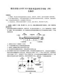 2024届重庆八中高三上(12月考)-生物试题（含答案）