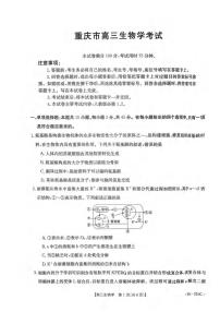2024届重庆教育联盟高三上(12月考)-生物试题（含答案）