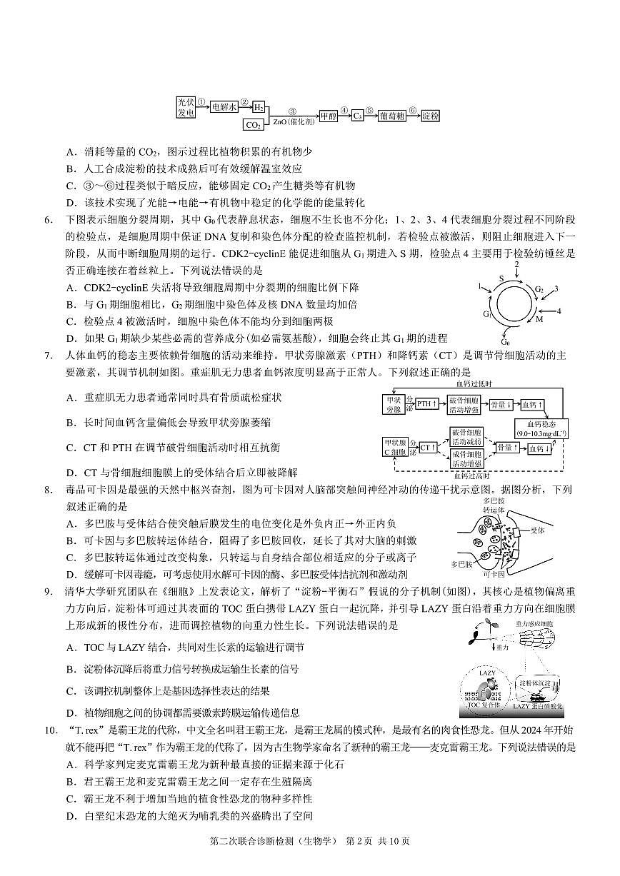 2024届重庆康德高三第二次联合诊断检-生物试卷(含答案)第2页