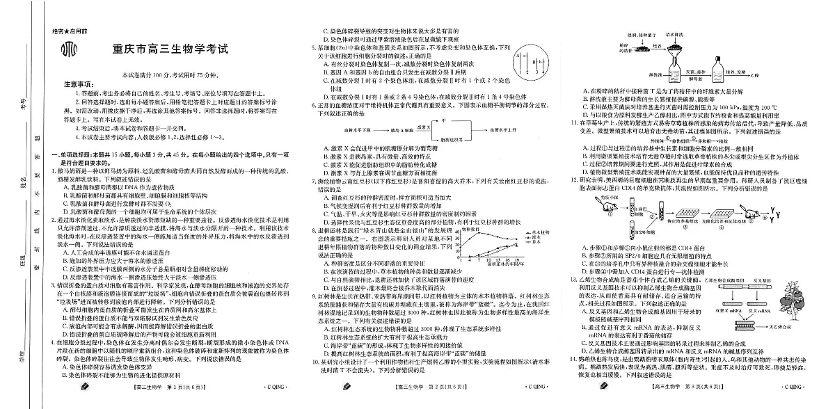 2024届重庆市高三上(9月联考)-生物试题(含答案)第1页