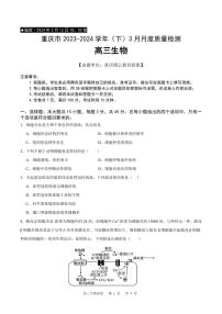 2024届重庆市缙云教育联盟高三下学期3月考-生物试卷（含答案）