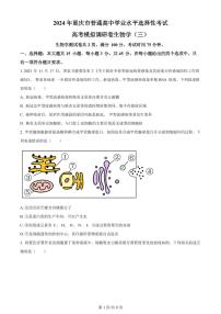 2024届重庆市康德卷高考模拟调研卷（三）-生物（含答案）