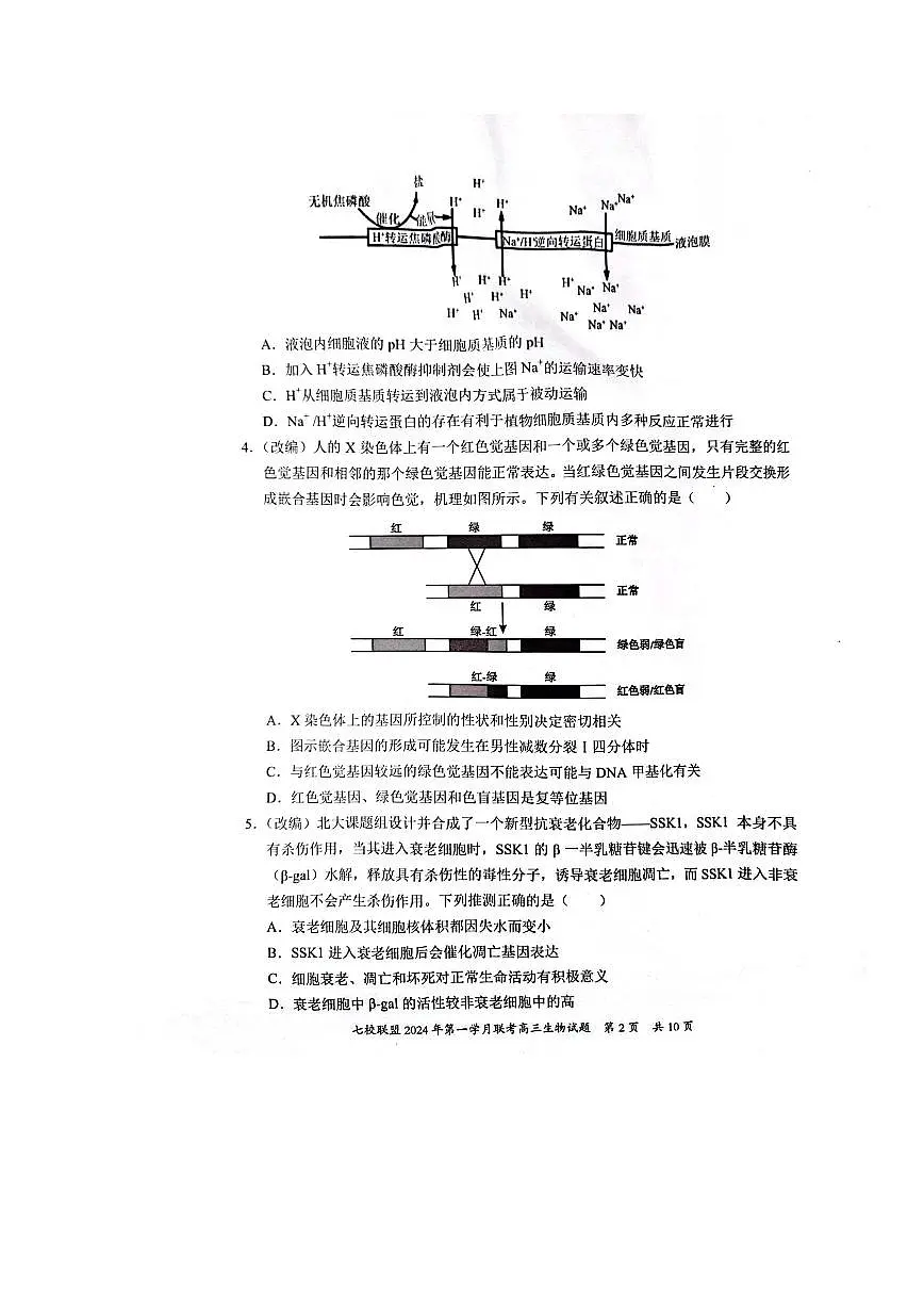 2024届重庆市七校联盟高三下学期第一次月考-生物试卷(含答案)第2页