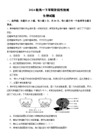 山东省泰安市泰安一中青年路校区2024-2025学年高一下学期3月月考生物试题（Word版附答案）