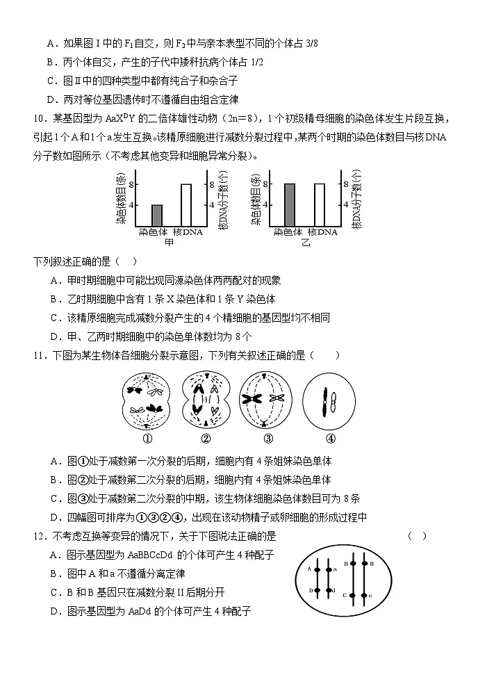 山东省泰安市泰安一中青年路校区2024-2025学年高一下学期3月月考生物试题(Word版附答案)第3页