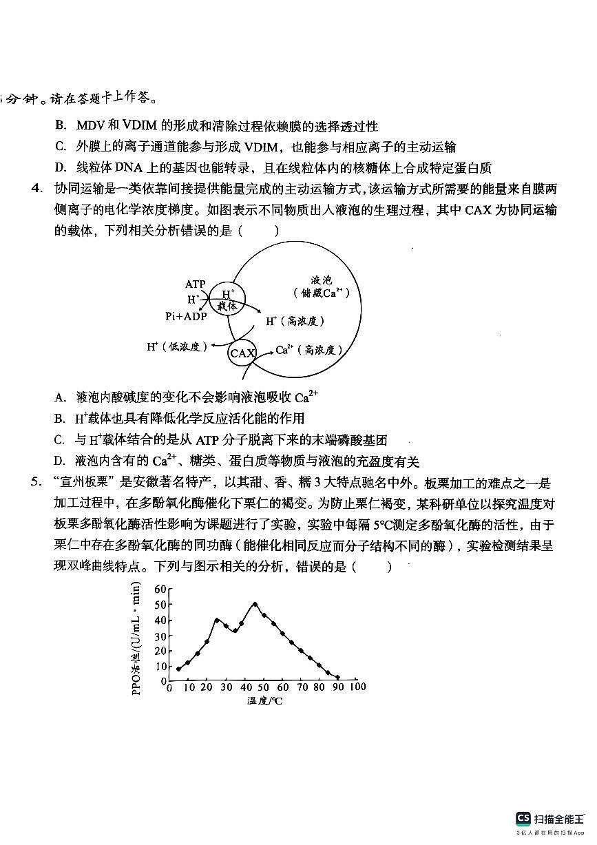 安徽省A10联盟2024-2025学年高三上学期11月月考生物试题第2页