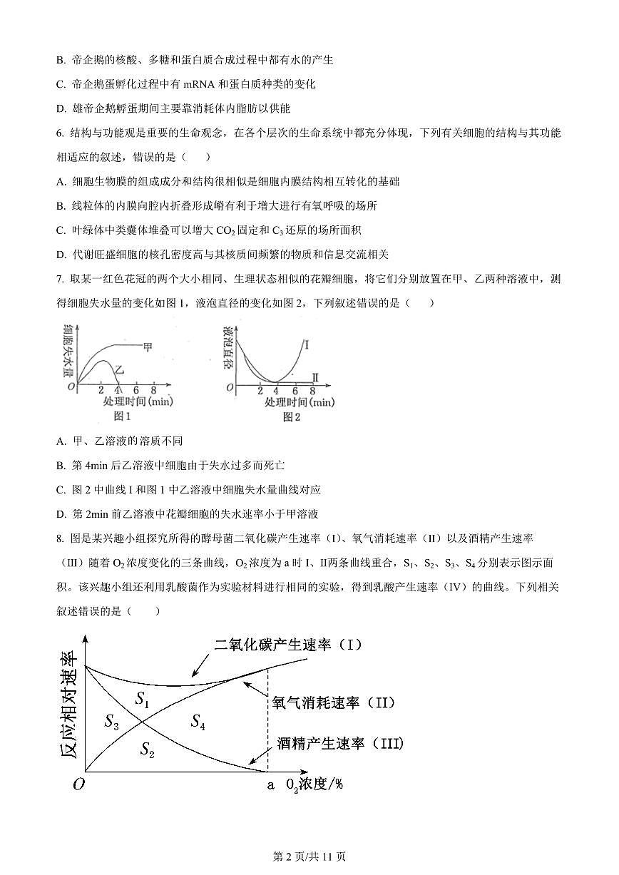 2024届福建省泉州市德化一中高三上(11月考)-生物试题(含答案)第2页