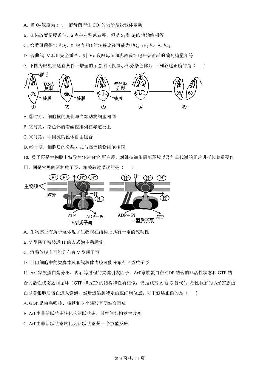 2024届福建省泉州市德化一中高三上(11月考)-生物试题(含答案)第3页