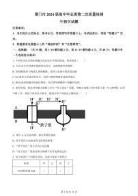 2024届福建省厦门市高三下学期第二次质量检测卷(3月)-生物（含答案）
