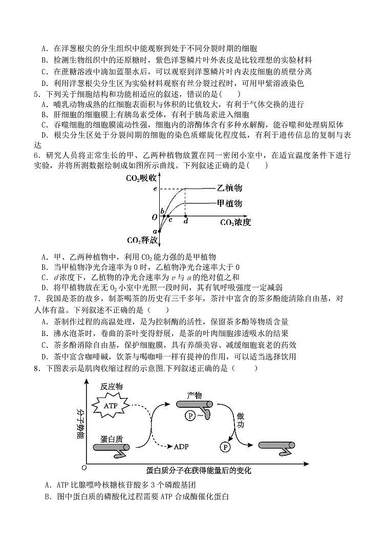 2024届福建省五校协作体高三上(11月考)-生物试题(含答案)第2页