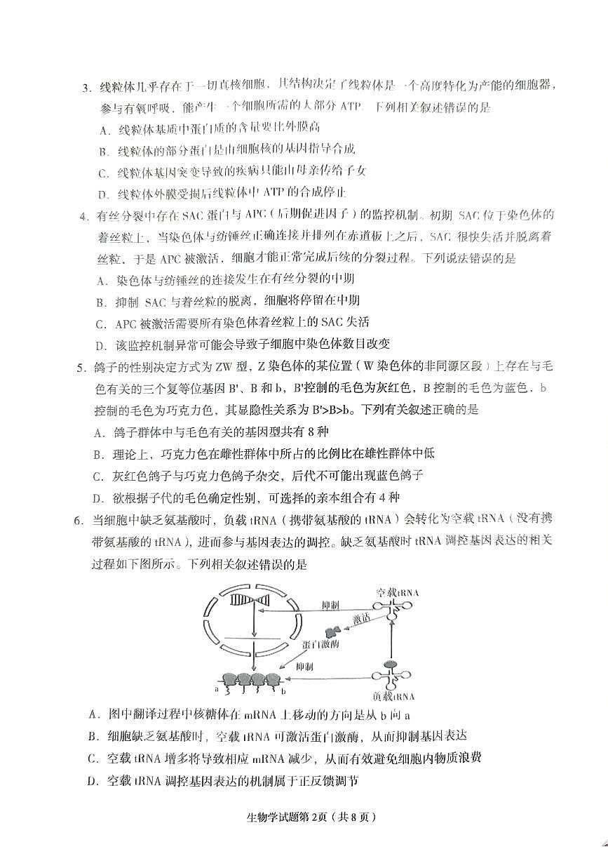 2024届甘肃省兰州市高三下学期诊断考试(一模)(3月)-生物试卷(含答案)第2页