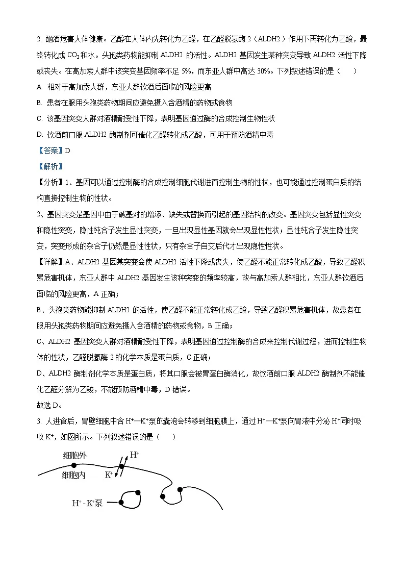 湖北省武汉市东西湖区华中师范大学第一附属中学2023-2024学年高二下学期4月期中生物试题(解析版)第2页