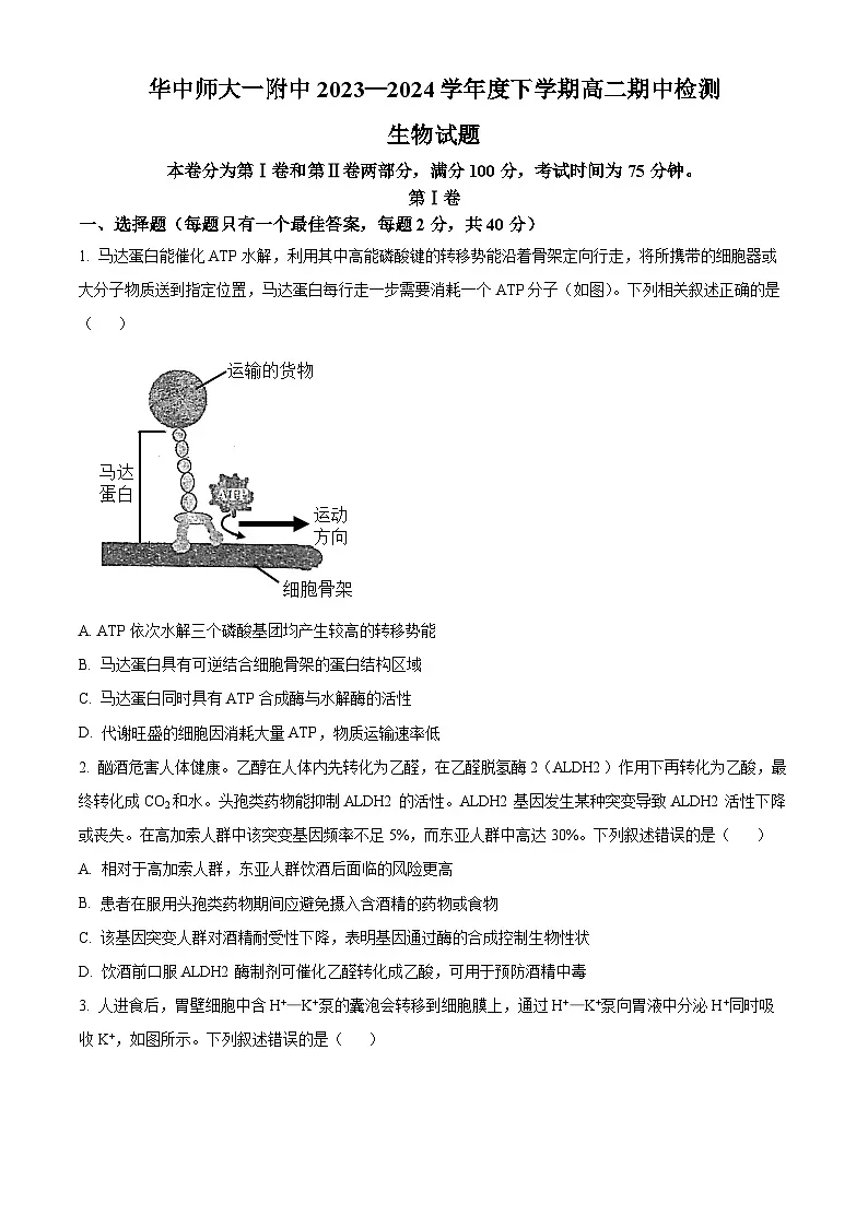 湖北省武汉市东西湖区华中师范大学第一附属中学2023-2024学年高二下学期4月期中生物试题(原卷版)第1页