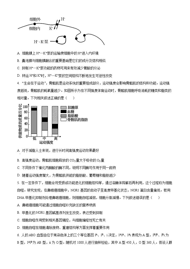 湖北省武汉市东西湖区华中师范大学第一附属中学2023-2024学年高二下学期4月期中生物试题(原卷版)第2页