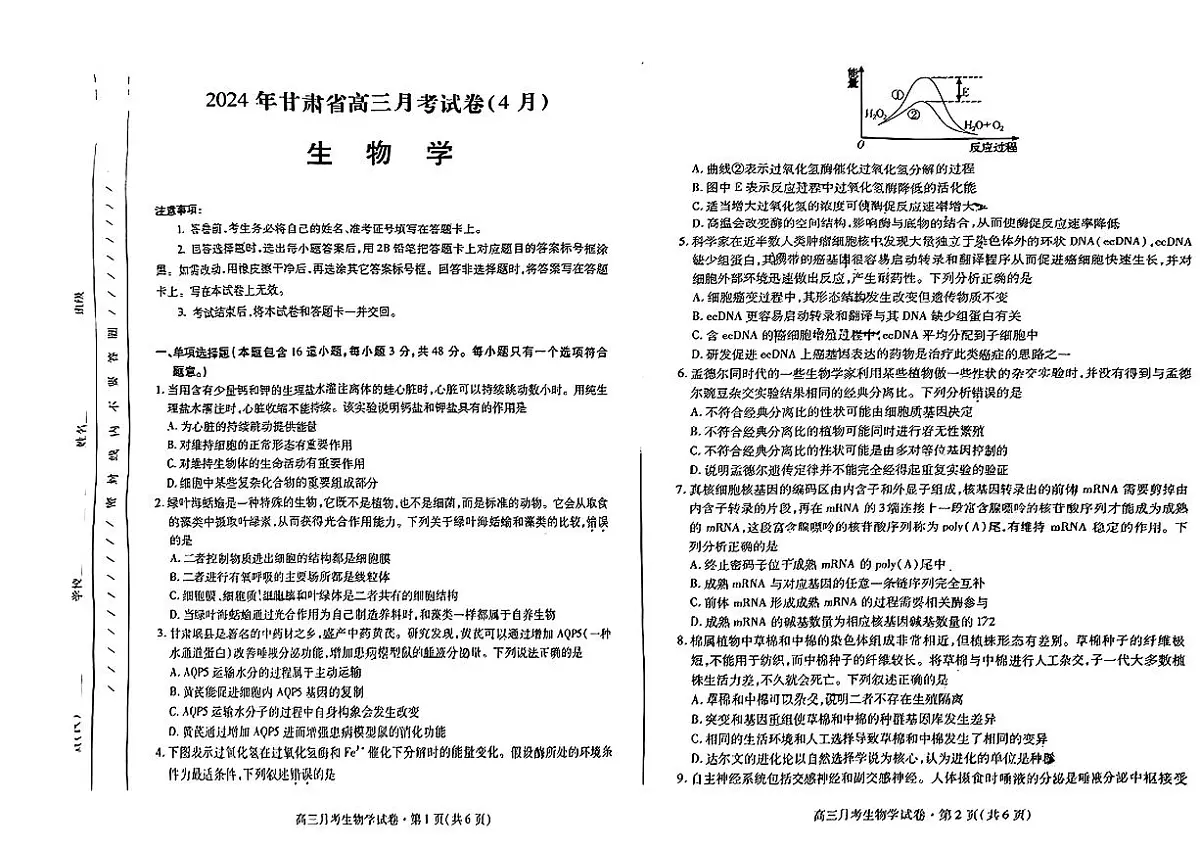 2024届甘肃高三4月二模考试-生物试卷(含答案)第1页