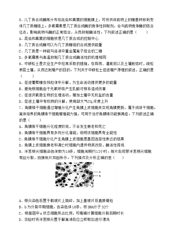 2025届福建省福州市八县(市)协作校高三11月期中考-生物试题(含答案)第2页