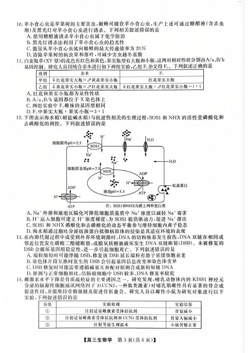 2025届福建高三省质检试卷 生物试题(含答案)第3页