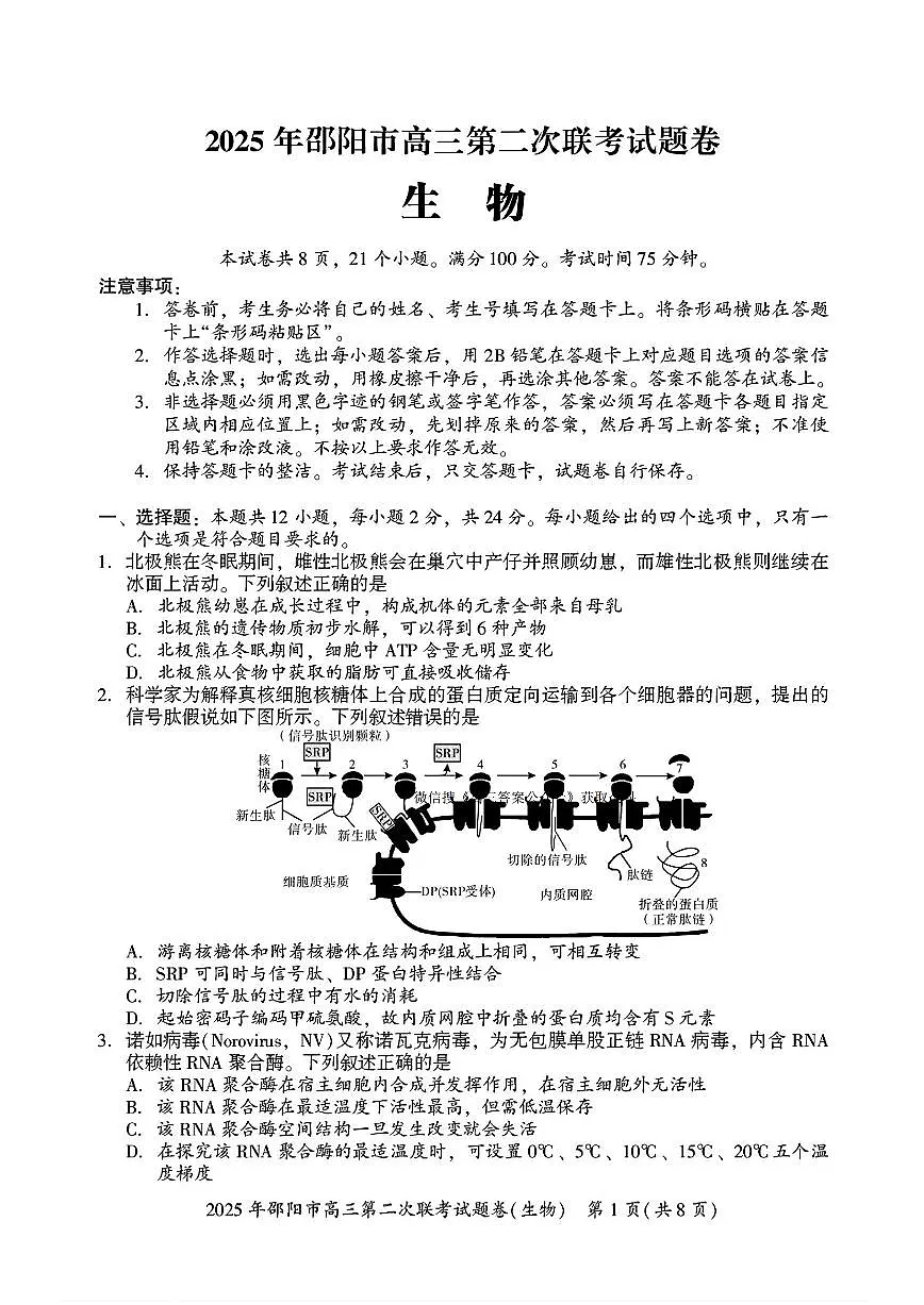 湖南省邵阳市2025届高三高考模拟3月第二次模拟-生物试题+答案第1页