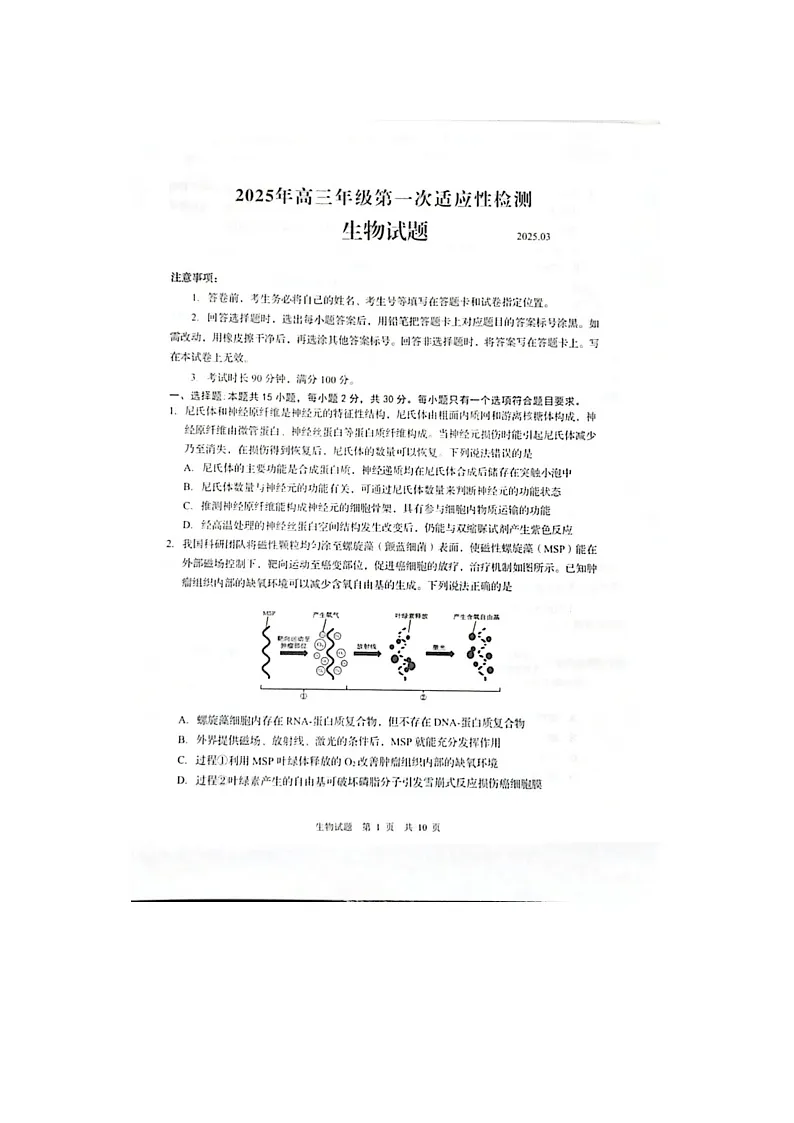 2024-2025学年下学期3月山东省青岛市高三年级第一次适应性检测生物试卷含答案第1页
