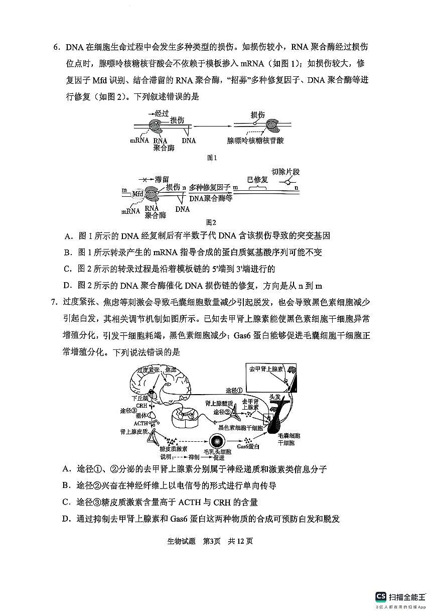 生物学试卷(2025届五诊) 第3页