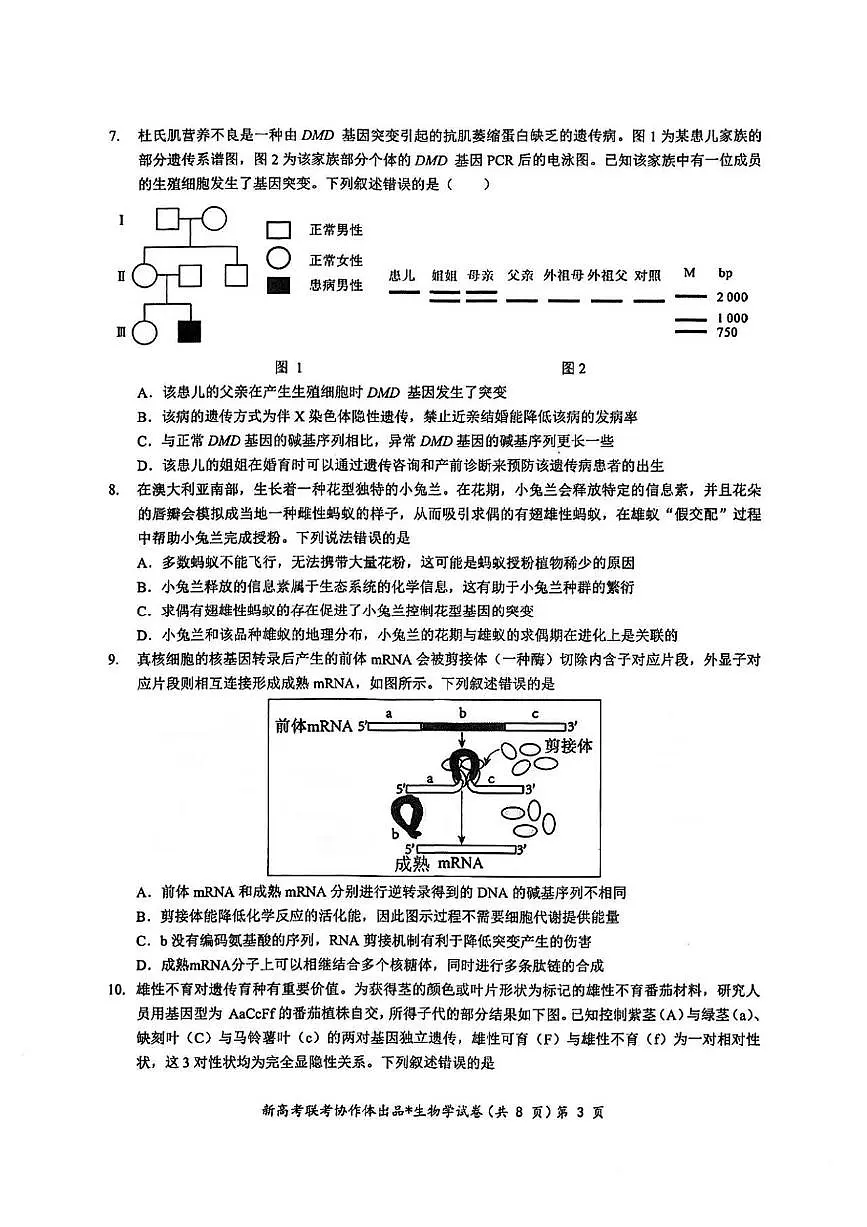生物丨云学名校联盟湖北省湖部分名校2025届高三1月联考生物试卷及答案第3页
