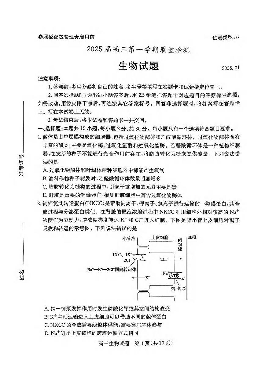 生物丨山东省枣庄市2025届高三1月第一学期质量检测(枣庄一调)生物试卷及答案第1页