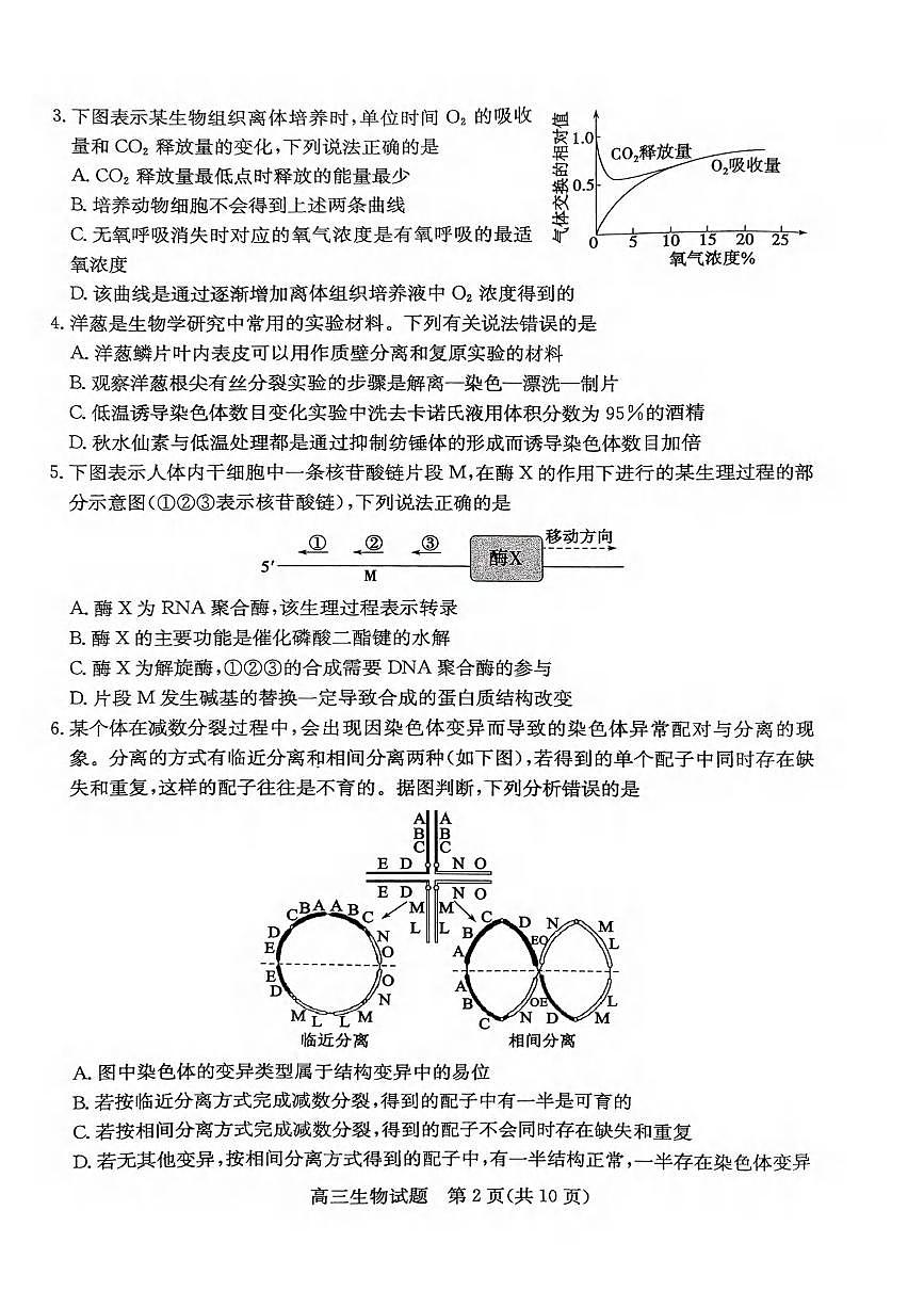 生物丨山东省枣庄市2025届高三1月第一学期质量检测(枣庄一调)生物试卷及答案第2页