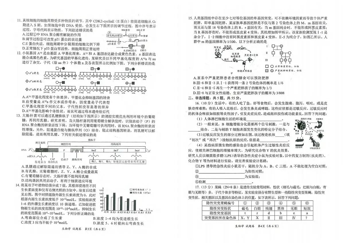 生物丨四川省绵阳市2025届高三1月第二次诊断性考生(绵阳二诊)生物试卷及答案第2页