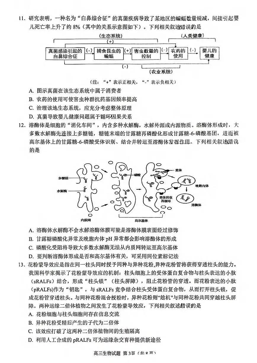 生物丨福建省泉州市2025届高三1月质量监测(二)(泉州二检)生物试卷及答案第3页