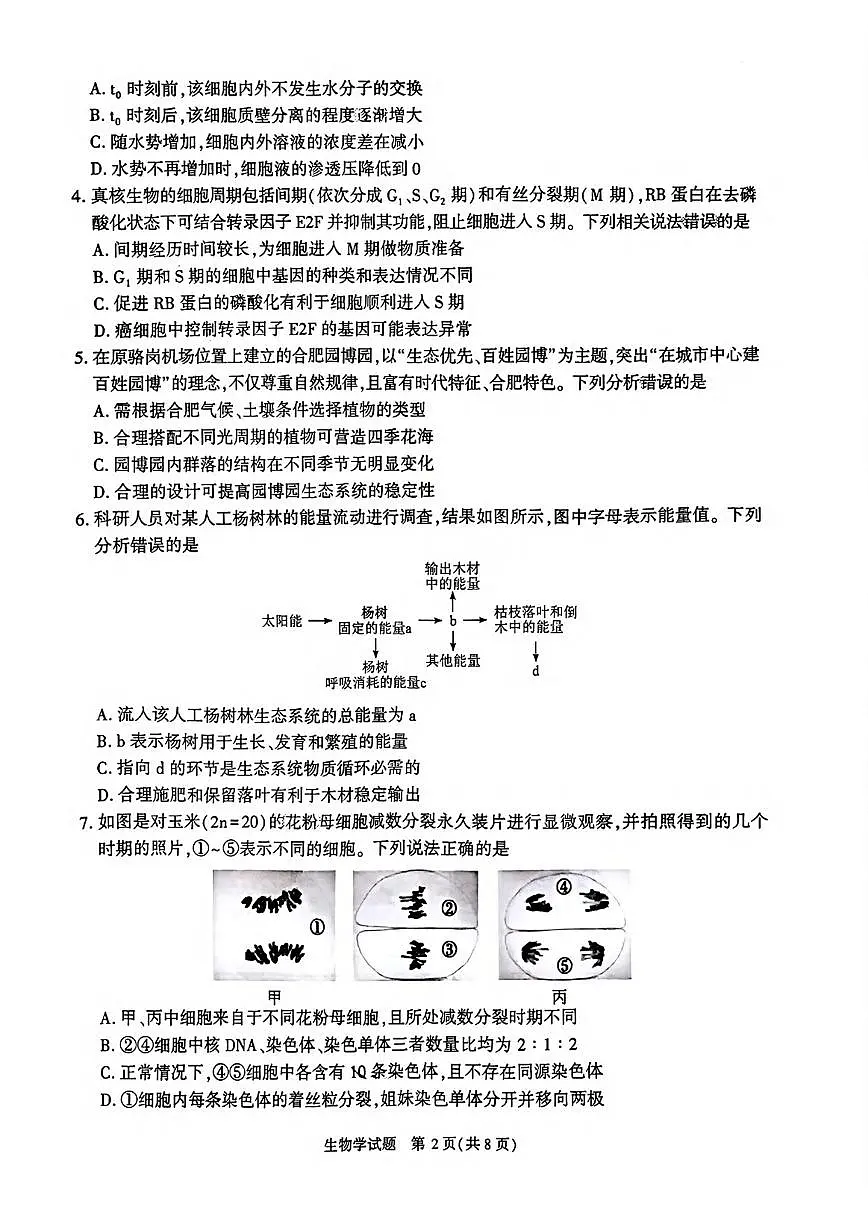 生物丨安徽省合肥市2025届高三1月第一次教学质量检测(合肥一模)生物试卷及答案第2页
