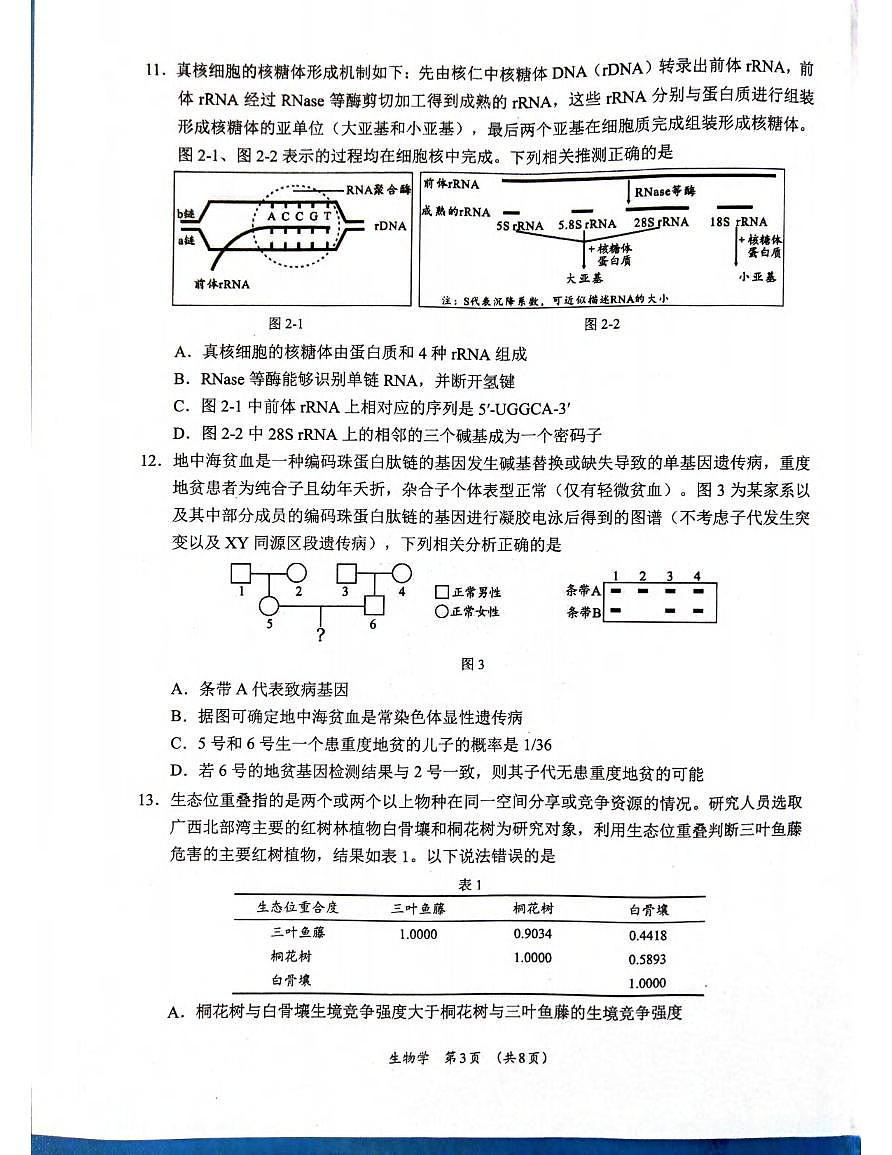 生物丨广西柳州市2025届高三1月二模生物试卷及答案第3页