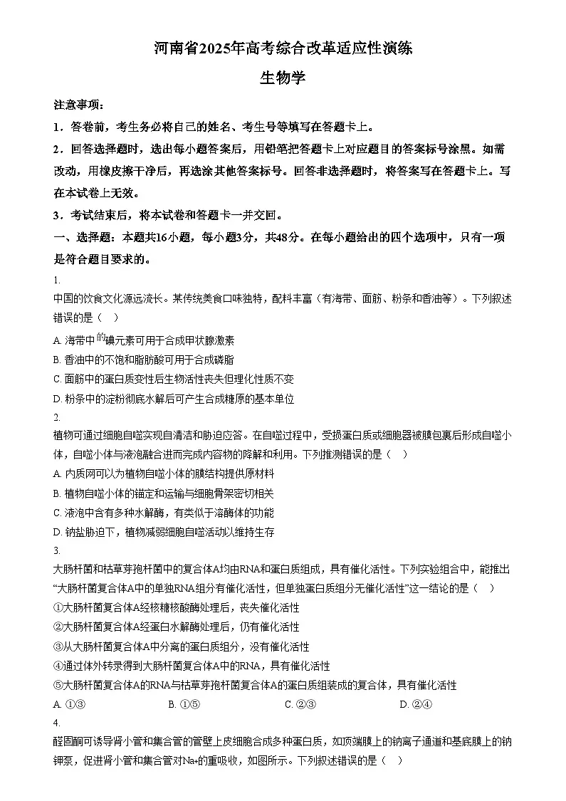 2025年1月普通高校适应性测试河南生物 Word版无答案第1页