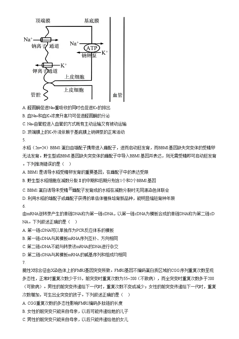 2025年1月普通高校适应性测试河南生物 Word版无答案第2页