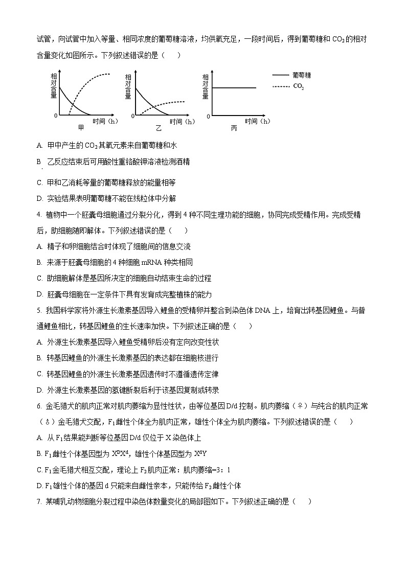 【九省联考】2024年1月普通高等学校招生考试适应性测试生物试题(贵州版) Word版无答案第2页
