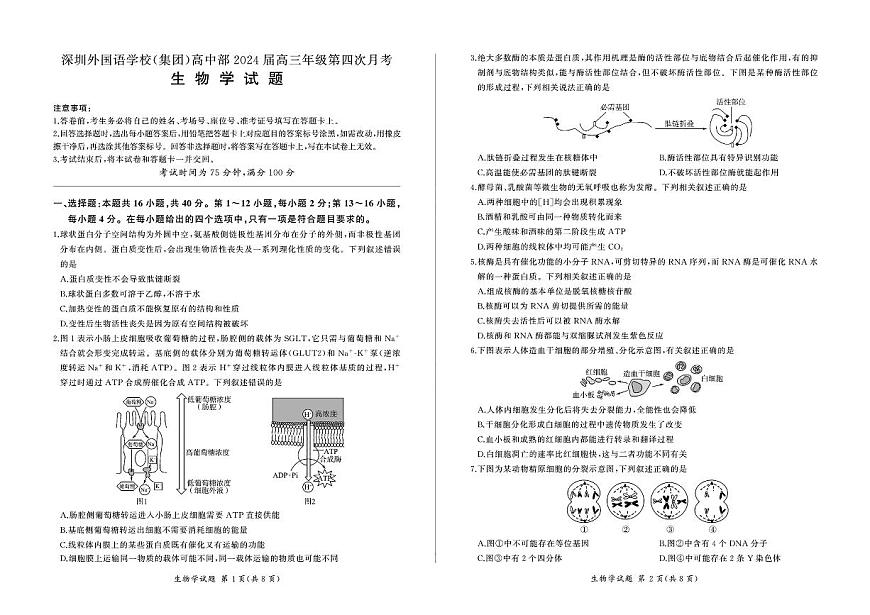 2024届广东深圳外国语高三第四次月考试卷(12月考)-生物试题(含答案)第1页