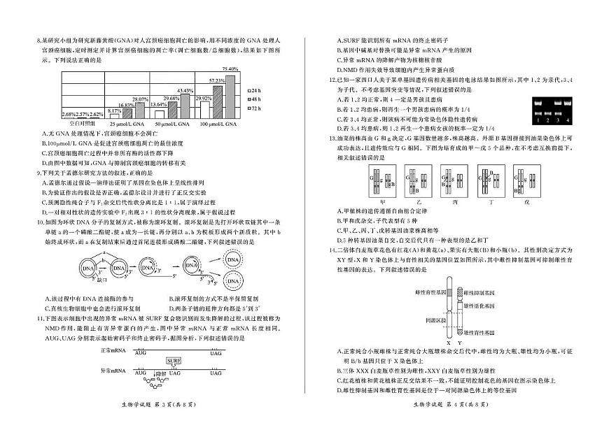 2024届广东深圳外国语高三第四次月考试卷(12月考)-生物试题(含答案)第2页