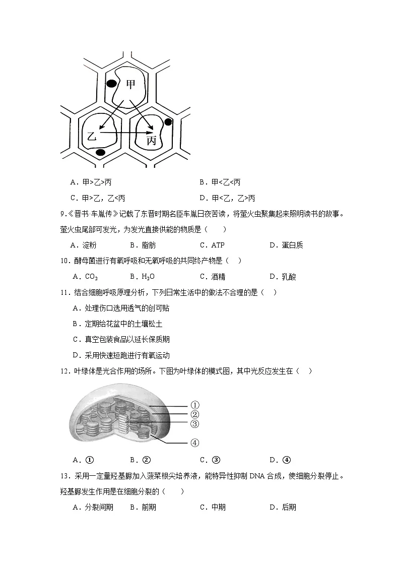 2025年北京市第一次普通高中学业水平合格性考试生物试题(无答案解析)第2页