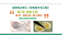 高中生物胚胎工程技术及其应用教学课件ppt