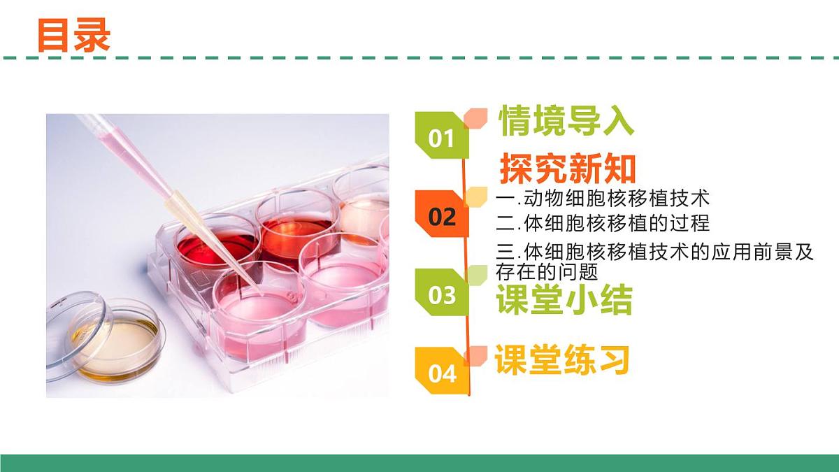 2.2 动物细胞工程(第三课时)(教学课件)-2024-2025学年高二生物(人教版2019选择性必修3)第2页