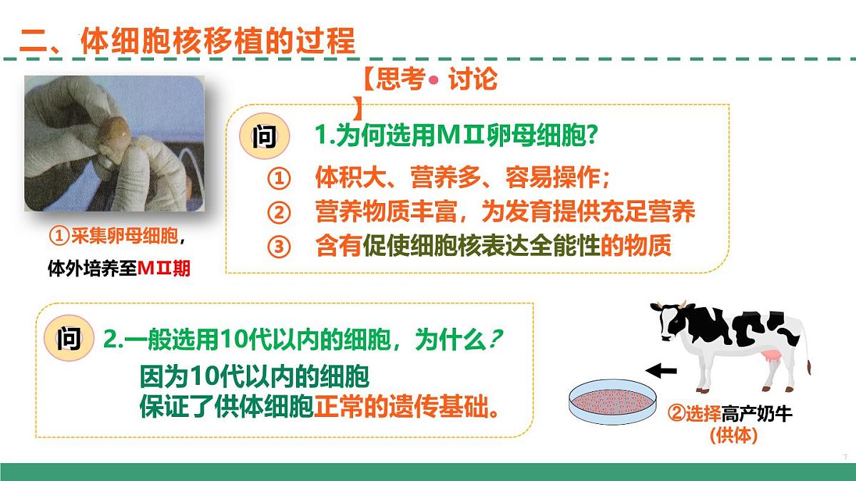 2.2 动物细胞工程(第三课时)(教学课件)-2024-2025学年高二生物(人教版2019选择性必修3)第7页