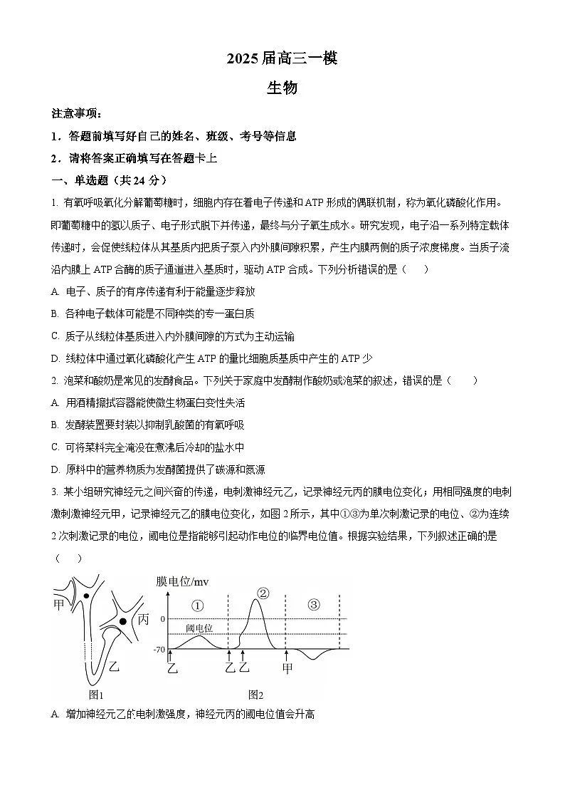 2025届湖南省长沙市天心区长沙市第十五中学高三下学期一模生物试题(原卷版+解析版)第1页