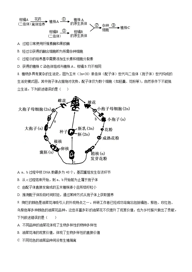 2025届湖南省长沙市天心区长沙市第十五中学高三下学期一模生物试题(原卷版+解析版)第3页