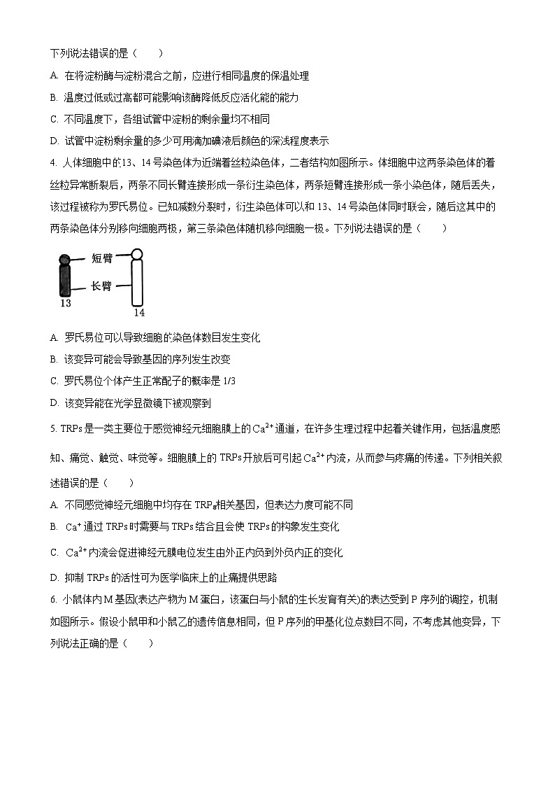 2025届重庆市部分中学高三模拟预测生物试卷(原卷版+解析版)第2页