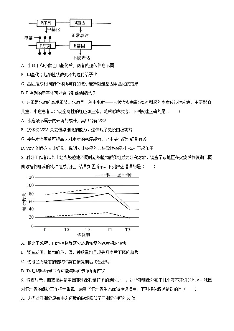 2025届重庆市部分中学高三模拟预测生物试卷(原卷版+解析版)第3页