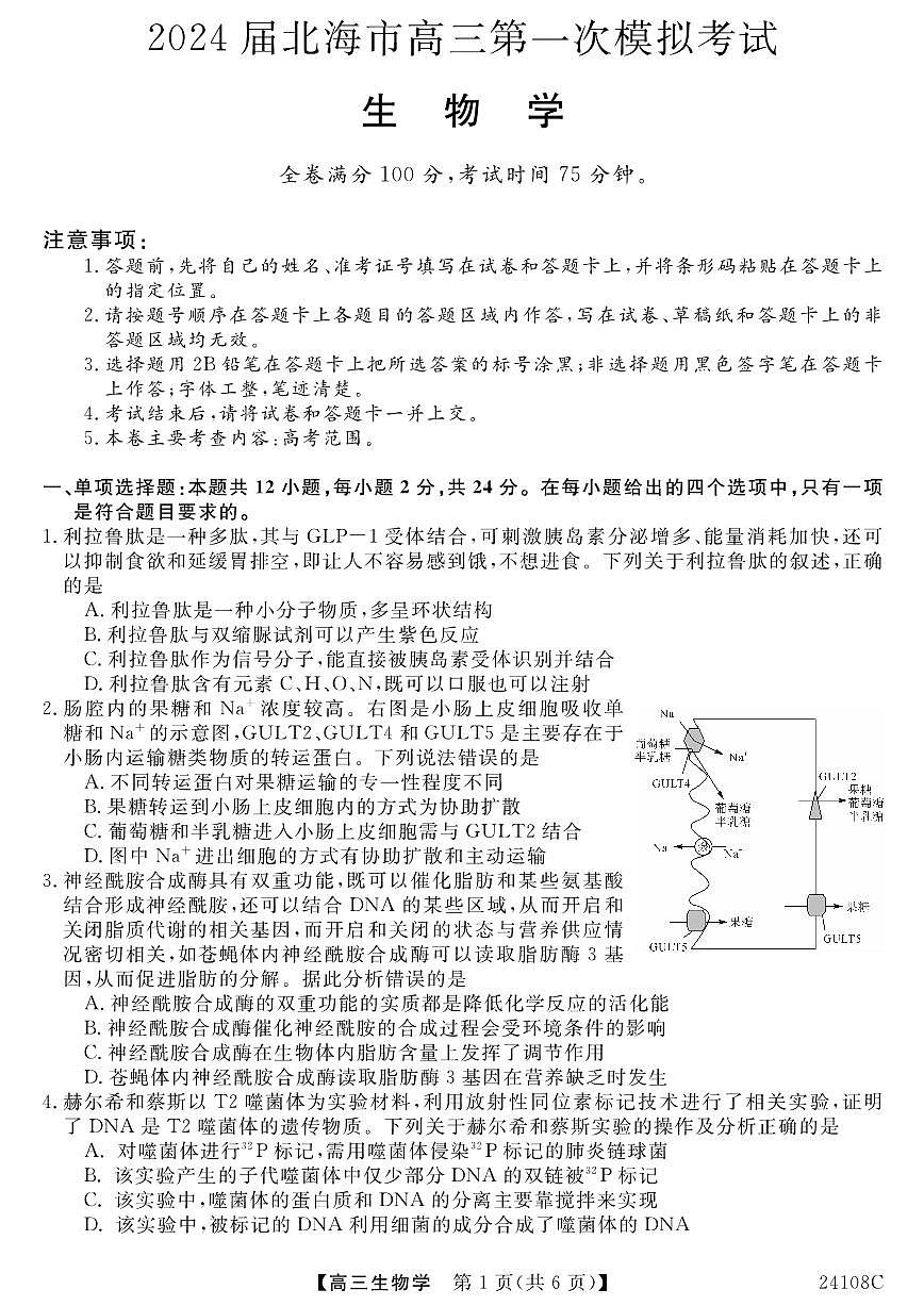 2024届广西北海市高三第一次模拟考试-生物试题(含答案)第1页
