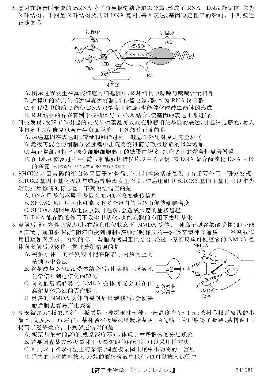 2024届广西北海市高三第一次模拟考试-生物试题(含答案)第2页